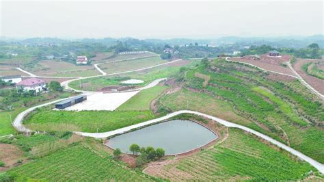 整合资金8900万元 自贡荣县打造四川省星级现代农业园 - 封面新闻