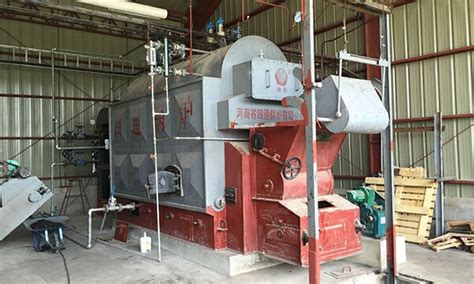 DZL快装链条炉排生物质锅炉 - 生物质锅炉 - 河南省四通锅炉有限公司
