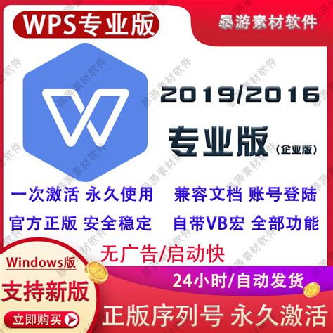 WPS专业版企业版2019办公软件可远程永久激活带vba宏库插件2016-淘宝网