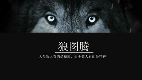 《狼图腾》-群狼捕猎黄羊，一次捕捉整群黄羊_腾讯视频