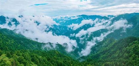 湖北神农架荣膺“世界自然遗产地”称号-中国吉林网