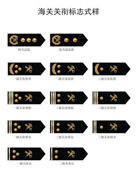军队军衔等级肩章排列图片（军衔是一种荣誉）-玩个性