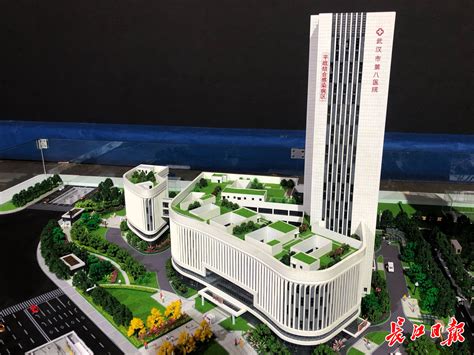 武汉市第八医院-中国医药信息查询平台