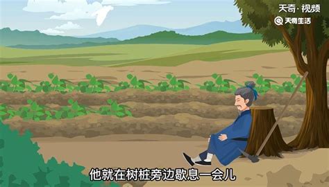 5守株待兔 课件(共36张PPT)-21世纪教育网