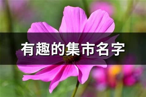 创意市集取名,好听的创意集市名称,有趣的集市名字_大山谷图库