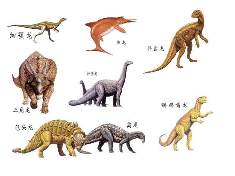恐龙书籍 恐龙全知道全套12册 恐龙世界大百科全书儿童版 动物科-阿里巴巴