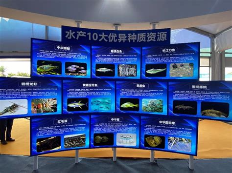 云端启幕！2022 中国（广东）国际水产博览会成功举办 - 中国国际水产博览会