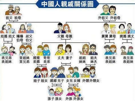 亲属关系图图片