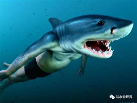 世界十大恐怖鲨鱼排名，第一濒临灭绝，第二被称为人类杀手（牛鲨）_排行榜123网