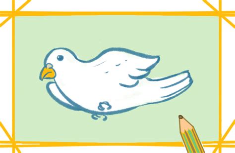 飞翔的白色鸽子简笔画要怎么画_飞翔的白色鸽子简笔画教程步骤