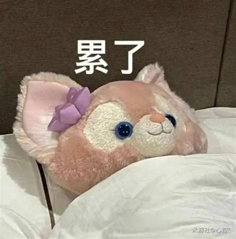带我求带表情包图片