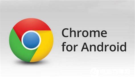 chrome浏览器下载安卓手机-chrome apk download官方版app2024免费