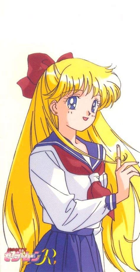 美少女战士爱野美奈子(水手金星)/自图片