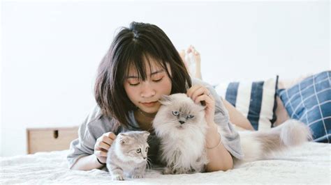 跟猫当“情侣”背后，95后如何重塑“宠物消费”？ | CBNData