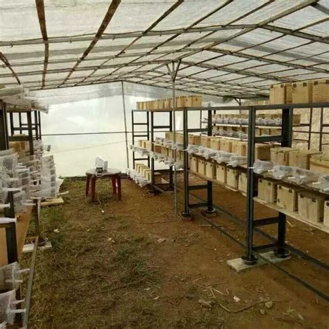 厂家批发白色塑料平网养鸡塑料平网养殖垫底塑料网鸡鸭鹅养殖底网-阿里巴巴