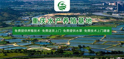 养殖环境-重庆水产养殖基地