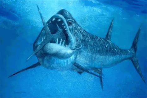已灭绝的十大鲨鱼，个个都是顶级捕食者 - 综合百科 - 懂了笔记