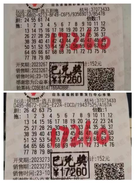 选胆图图片