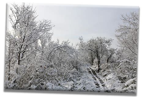 今冬第一场雪，比双11来得还早一些|九皇山景区官方网站