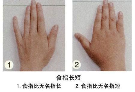 五个手指长短看命运图解，你的食指和无名指哪个更长-生肖-荣耀易学