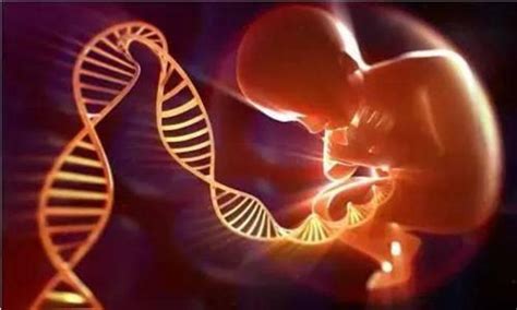 科学网—人类基因组计划进入泛基因组时代 - 孙学军的博文