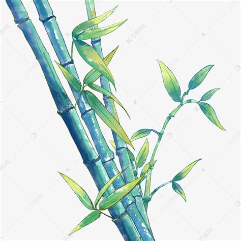 画竹子的图片