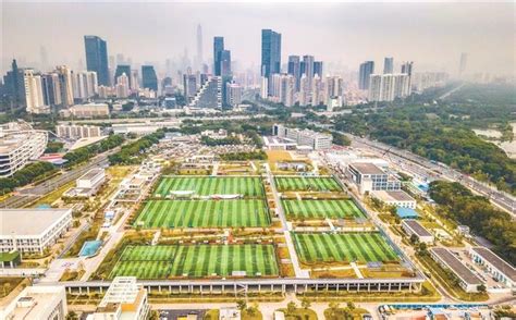 宁阳县首个体育公园正式开园