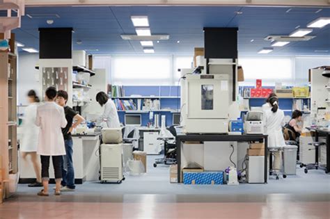 日本正式批准开展iPS细胞临床研究-观察-生物探索