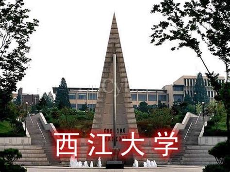 韩国西江大学中文MBA经营学硕士官方网站