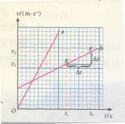 刚体定点运动运动学2_word文档在线阅读与下载_免费文档