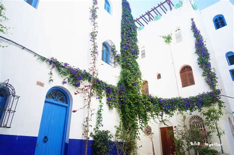 【摩洛哥】非洲西北偏北的蓝色海洋，艾西拉小镇的壁画艺术_程诗然_新浪博客