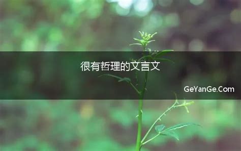 苹果ios14的翻译，太牛逼了！