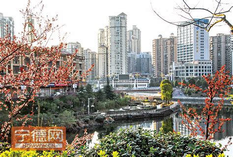 寿宁县实施城乡绿化一体化“四绿工程”建设 提升城市品位_宁德网