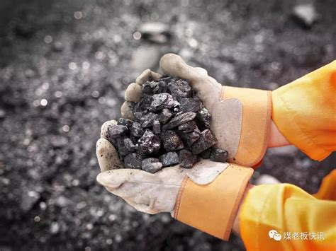 煤老板网:煤炭物流领域综合服务商