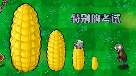 植物大战僵尸：玉米加农炮考试，它们能得多少分呢？_腾讯视频