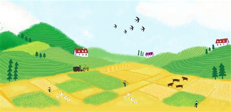 农业插画|插画|商业插画|张禹biubiubiubiu - 原创作品 - 站酷 (ZCOOL)
