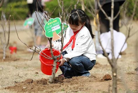 山东郯城：认领一棵树 相约共成长-人民图片网