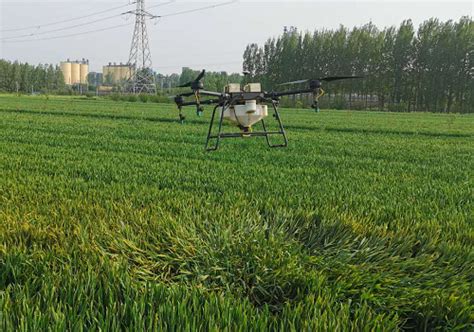 汝州市：智能无人机喷洒农药 确保小麦丰收丰产-国际在线