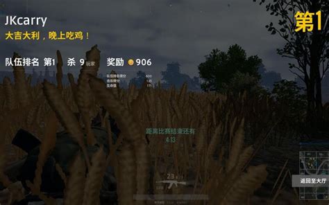 pubg怎么起名 pubg起名方法-梦幻手游网