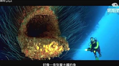 海洋最深处有什么？是不是还有我们不知道的生物_腾讯视频