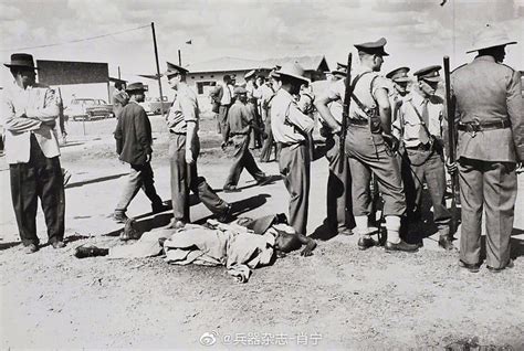 1960年3月21日，南非警察与沙佩维尔村黑人抗议者发生冲突|南非|抗议者|沙佩_新浪新闻