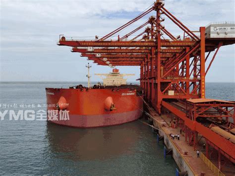 持续领跑全国沿海港口 青岛港完成第300条40万吨级大矿船装卸