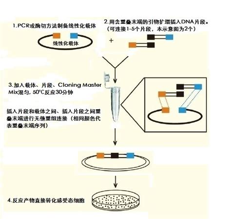 Multi One Step Cloning Kit(单/多片段连接)-无缝克隆-Genenode|君诺德公司