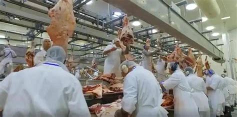 突发！巴西肉厂10万员工确诊！巴西曾承诺：对华出口肉类安全！_工人