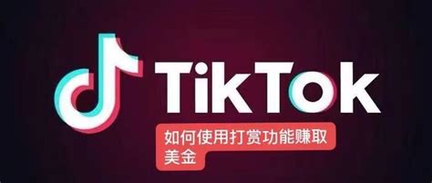 TikTok 引流脚本：高效引流的策略与技巧