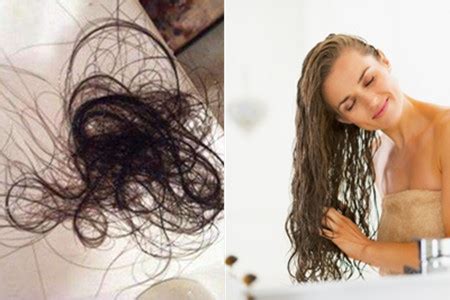 【图】分析为什么洗头发时掉头发 教你如何爱护秀发_洗头发_伊秀美容网|yxlady.com