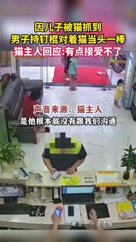 “撸猫”要小心！一男子被猫抓后反复高烧不退