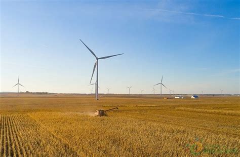 独家翻译 | 2019年前11个月美国可再生能源新增装机8784MW！-国际风力发电网