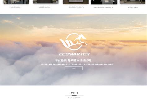 青岛网站建设公司[免费模板]10年网站/制作/设计建设团队
