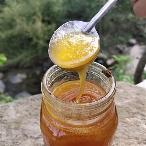 林客土蜂蜜500g瓶装青川农家自产土蜂蜜